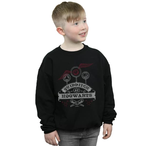 Harry Potter Boys Quidditch At Hogwarts Sweatshirt