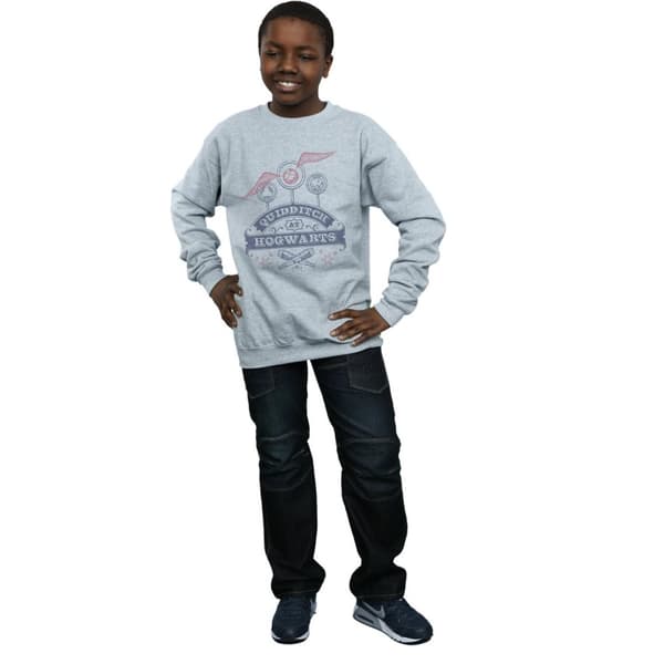 Harry Potter Boys Quidditch At Hogwarts Sweatshirt