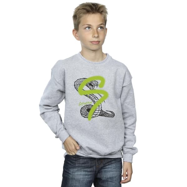 Harry Potter Boys Slytherin Pop Spray Sweatshirt