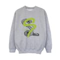 Miniatyrbilde 1 av 3: Harry Potter Boys Slytherin Pop Spray Sweatshirt