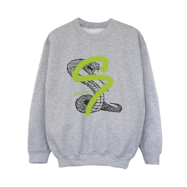 Harry Potter Boys Slytherin Pop Spray Sweatshirt