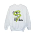 Miniatyrbilde 1 av 3: Harry Potter Boys Slytherin Pop Spray Sweatshirt