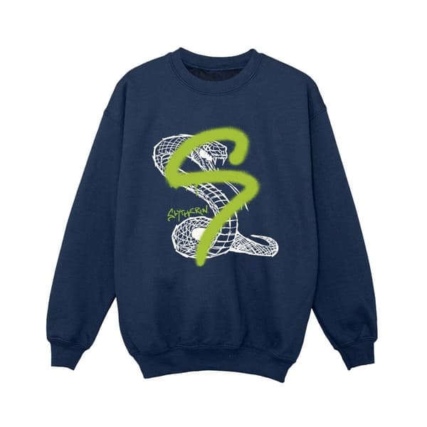 Harry Potter Boys Slytherin Pop Spray Sweatshirt