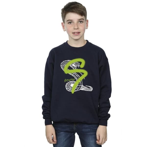 Harry Potter Boys Slytherin Pop Spray Sweatshirt