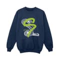 Miniatyrbilde 1 av 3: Harry Potter Boys Slytherin Pop Spray Sweatshirt