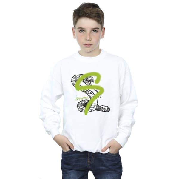 Harry Potter Boys Slytherin Pop Spray Sweatshirt