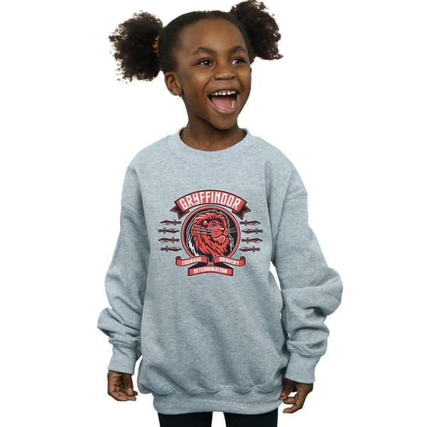 Harry Potter Girls Gryffindor Toon Crest Sweatshirt
