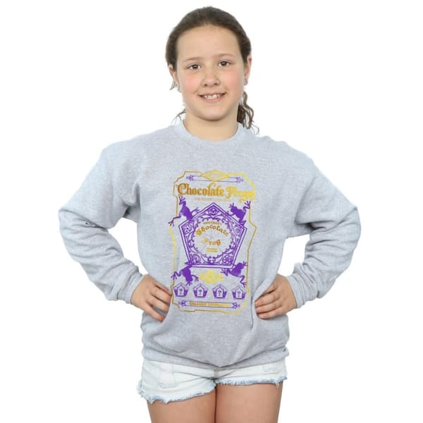 Harry Potter Girls Chocolate Frogs Coloured Label Sweatshirt