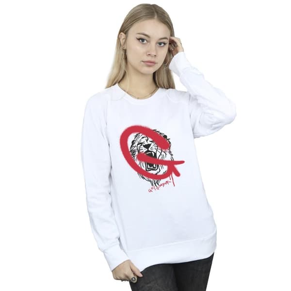 Harry Potter Womens/Ladies Gryffindor Pop Spray Sweatshirt