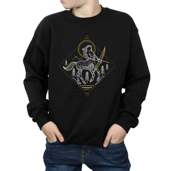Harry Potter Pojkar - Centaur - Sweatshirt med linjekonst