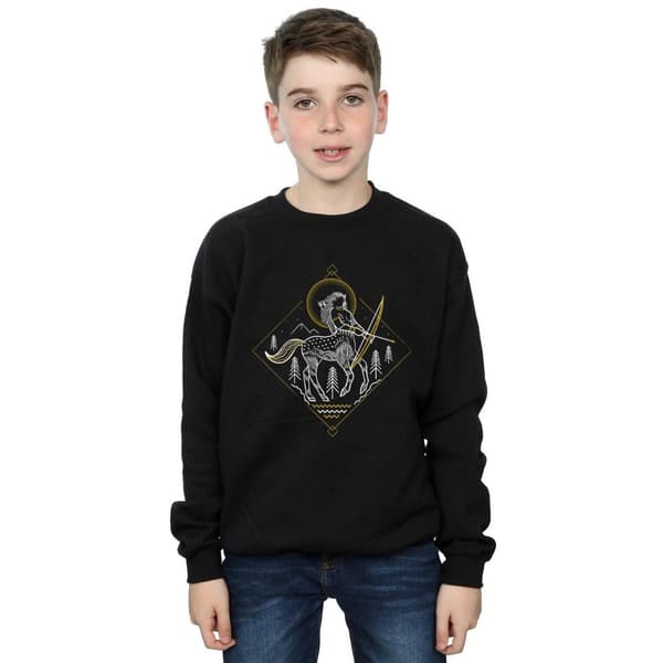 Harry Potter Pojkar - Centaur - Sweatshirt med linjekonst