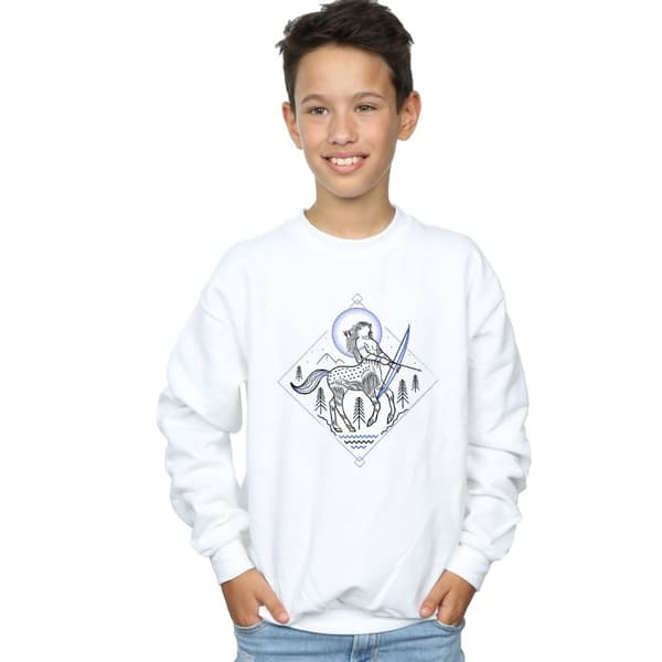 Harry Potter Boys Centaur Line Art Sweatshirt