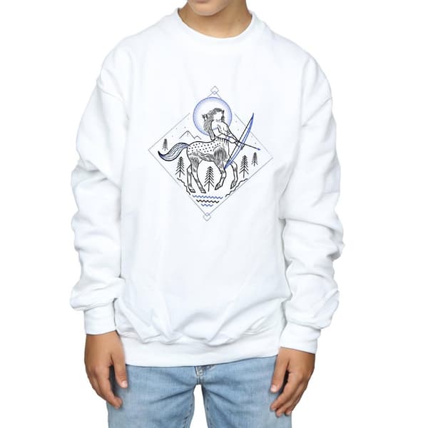 Harry Potter Boys Centaur Line Art Sweatshirt