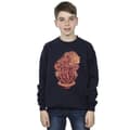 Miniatyrbillede 2 af 3: Harry Potter Boys Gryffindor Sketch Crest Sweatshirt