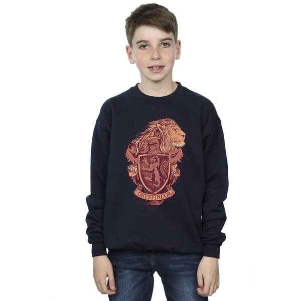 Harry Potter Boys Gryffindor Sketch Crest Sweatshirt