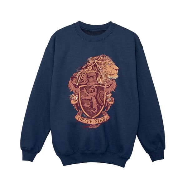 Harry Potter Boys Gryffindor Sketch Crest Sweatshirt
