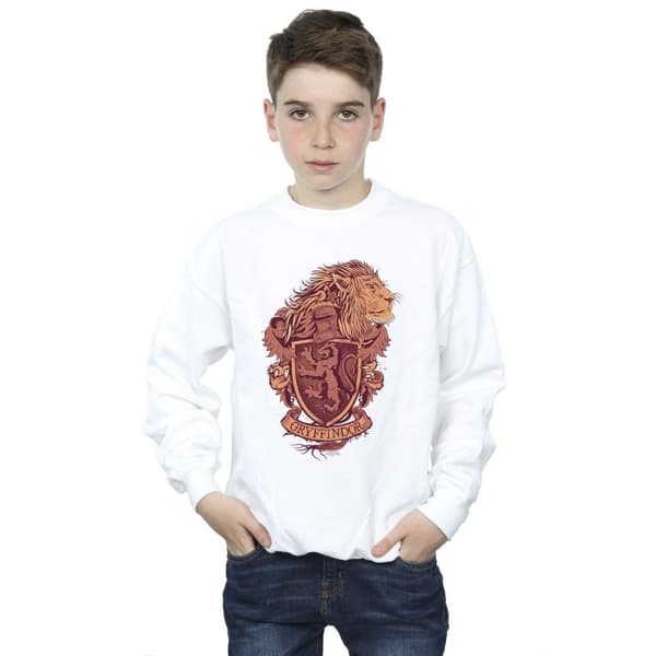 Harry Potter Boys Gryffindor Sketch Crest Sweatshirt