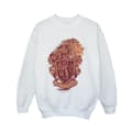 Miniatyrbillede 1 af 3: Harry Potter Boys Gryffindor Sketch Crest Sweatshirt