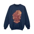 Miniatyrbillede 1 af 3: Harry Potter Boys Gryffindor Sketch Crest Sweatshirt