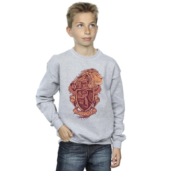 Harry Potter Boys Gryffindor Sketch Crest Sweatshirt