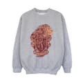 Miniatyrbillede 1 af 3: Harry Potter Boys Gryffindor Sketch Crest Sweatshirt