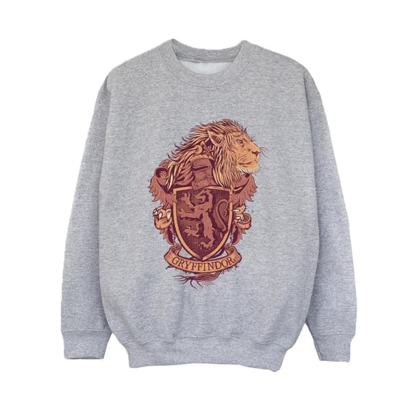 Harry Potter Boys Gryffindor Sketch Crest Sweatshirt