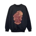 Miniatyrbillede 1 af 3: Harry Potter Boys Gryffindor Sketch Crest Sweatshirt