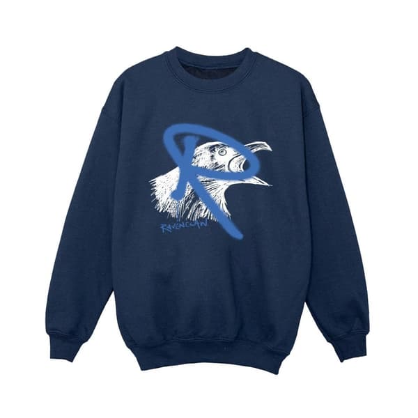 Harry Potter Ravenclaw Pop Spray-tröja för pojkar