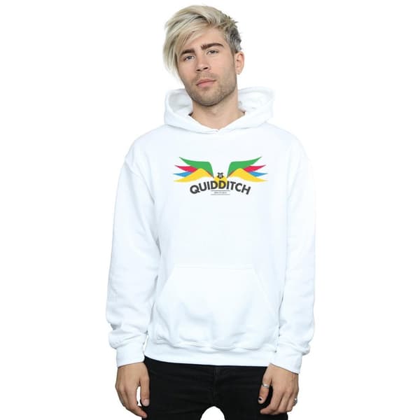 Harry Potter Mens Snitch Wings Pastels Hoodie