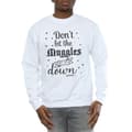 Miniatyrbilde 3 av 5: Harry Potter Mens Don´t Let The Muggles Sweatshirt
