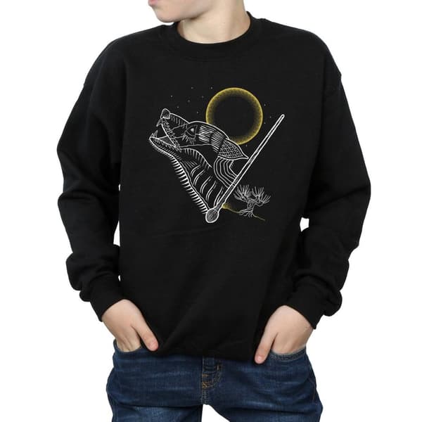 Harry Potter Boys Werewolf Line Art Sweatshirt
