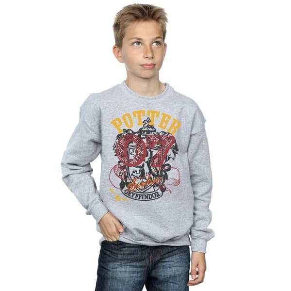 Harry Potter Boys Gryffindor Seeker Sweatshirt