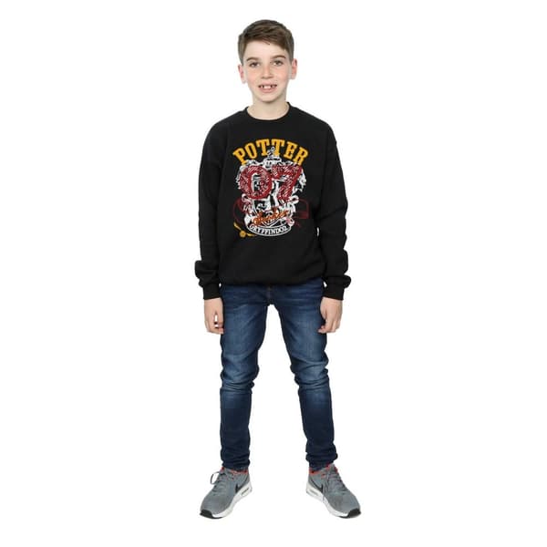 Harry Potter Boys Gryffindor Seeker Sweatshirt