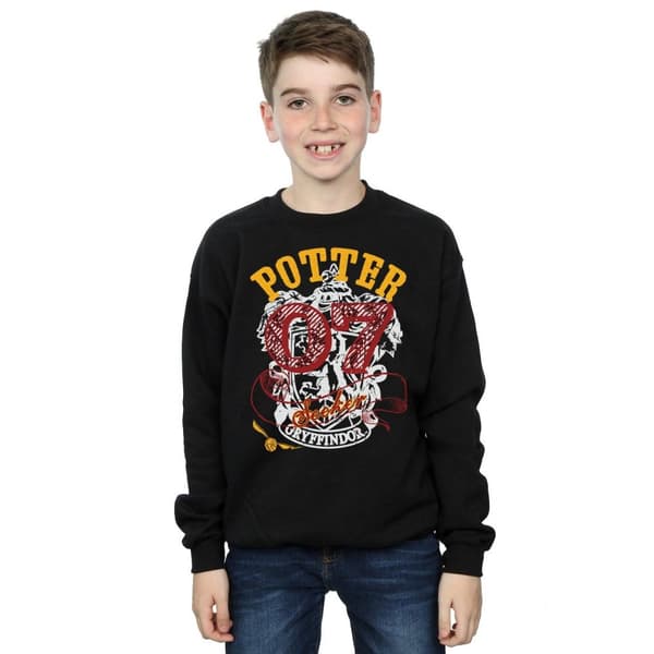 Harry Potter Boys Gryffindor Seeker Sweatshirt