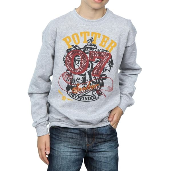 Harry Potter Boys Gryffindor Seeker Sweatshirt