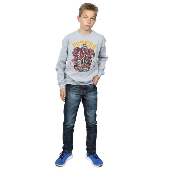 Harry Potter Boys Gryffindor Seeker Sweatshirt