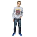 Miniatyrbild 4 av 5: Harry Potter Pojkar Gryffindor Sökare Sweatshirt