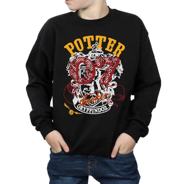 Harry Potter Boys Gryffindor Seeker Sweatshirt