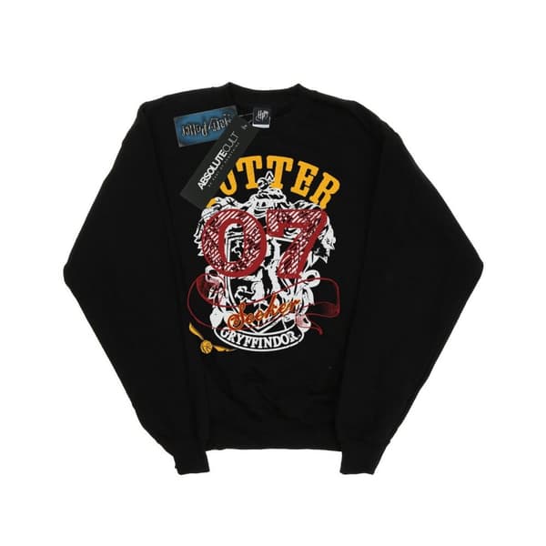 Harry Potter Boys Gryffindor Seeker Sweatshirt