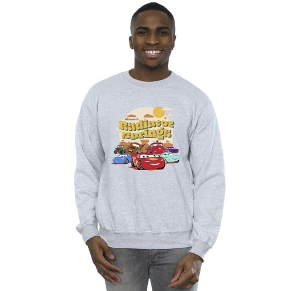 Disney Mens Cars Radiator Springs Group Sweatshirt