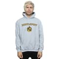 Miniatyrbillede 2 af 3: Harry Potter Mens Hufflepuff Crest Hoodie