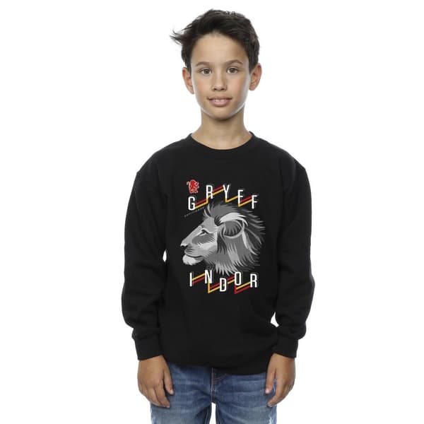 Harry Potter Boys Gryffindor Lion Icon Sweatshirt
