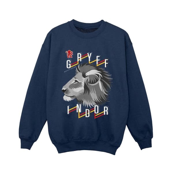 Harry Potter Boys Gryffindor Lion Icon Sweatshirt