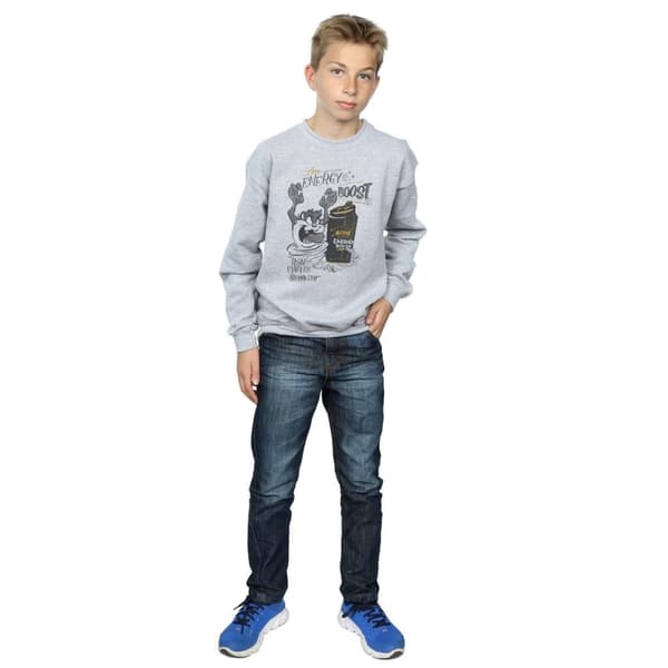 Looney Tunes Boys Taz Energy Boost Sweatshirt