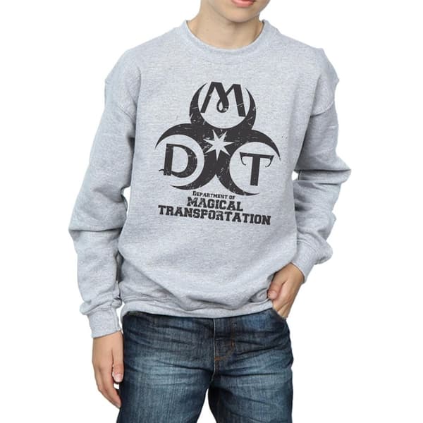 Harry Potter Boys Department Of Magical Transportation Logo Sweatshirt