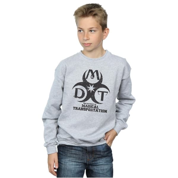Harry Potter Boys Department Of Magical Transportation Logo Sweatshirt