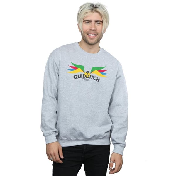Harry Potter Mens Snitch Wings Pastels Sweatshirt