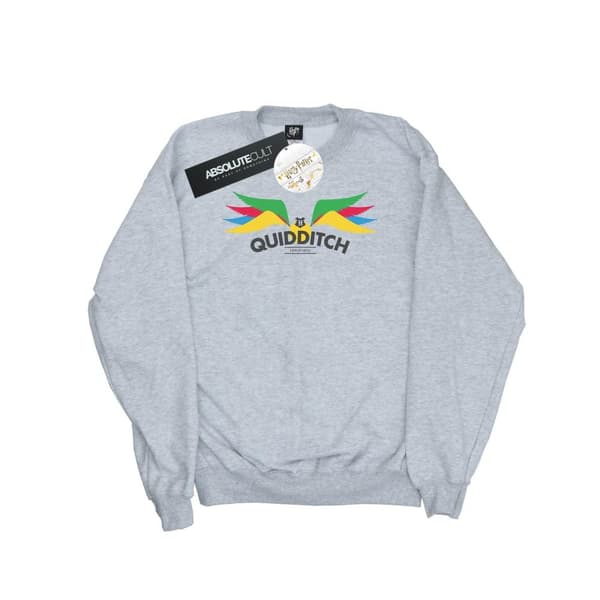 Harry Potter Mens Snitch Wings Pastels Sweatshirt