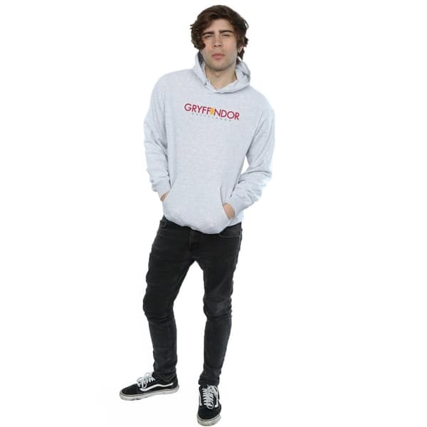 Harry Potter Mens Gryffindor Text Hoodie