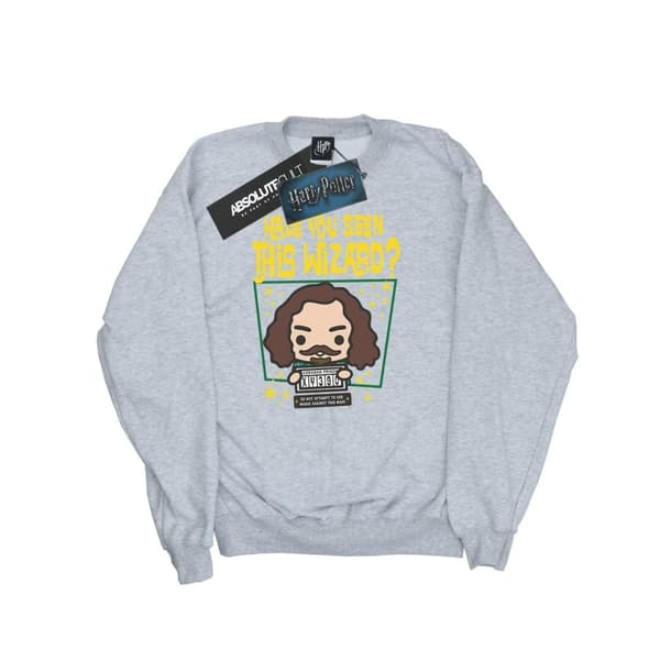 Harry Potter Girls Sirius Black Azkaban Junior Sweatshirt Sports Grey 5-6 Years